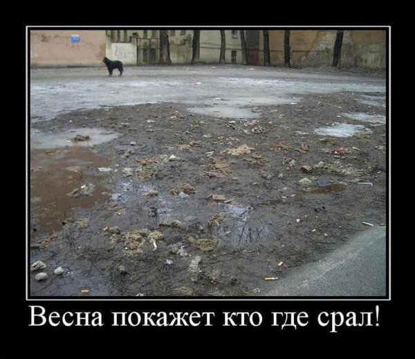 мемы про весну