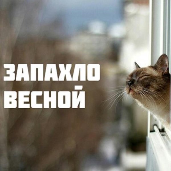 запах весны