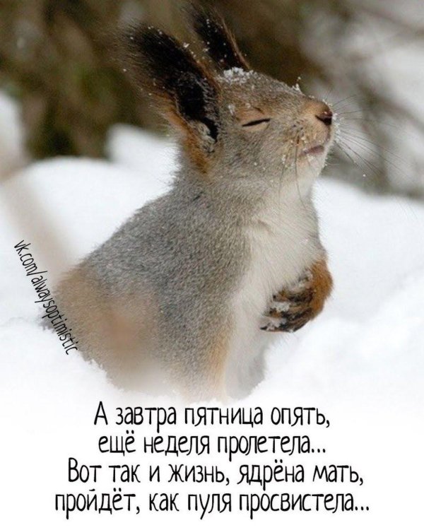 а завтра пятница опять