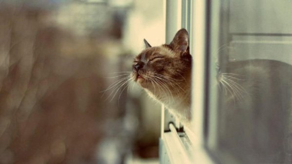 ждать весны