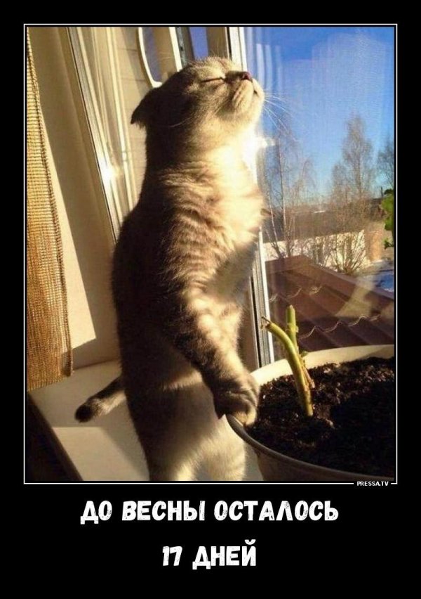 пахнет весной