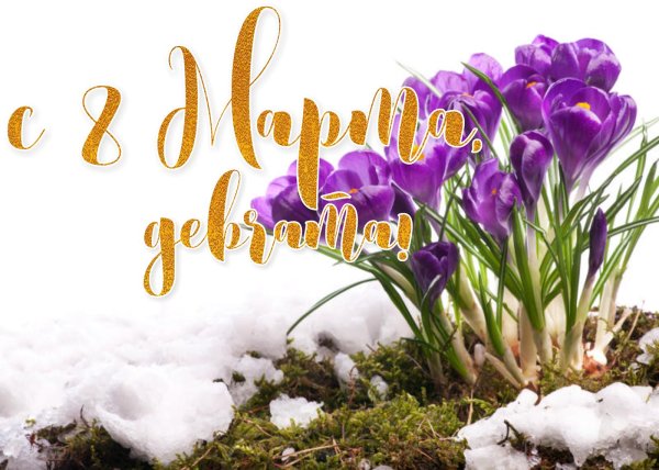 подснежники с 8 марта