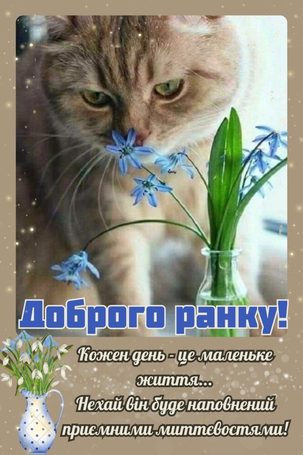 доброго ранку