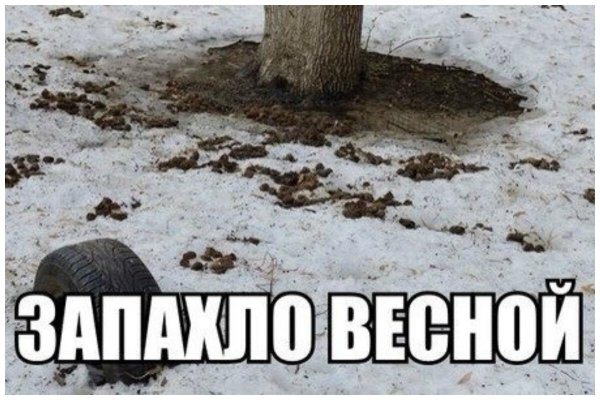 первый день весны мем
