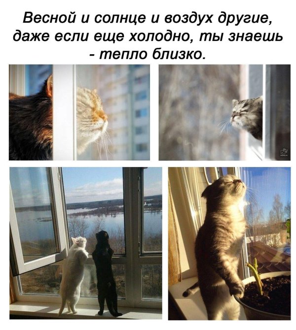 Запахло весной