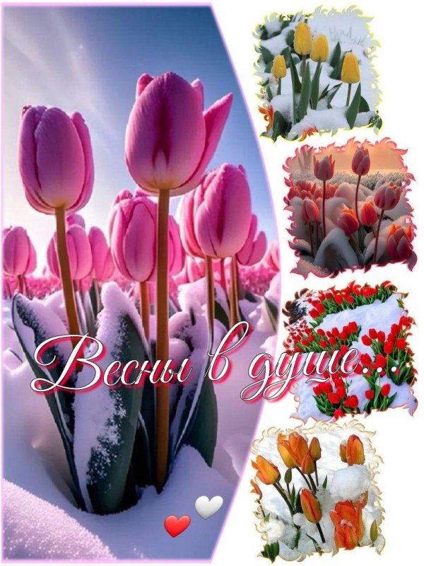 весенний день