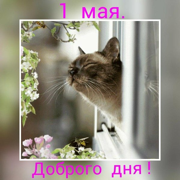 запах весны