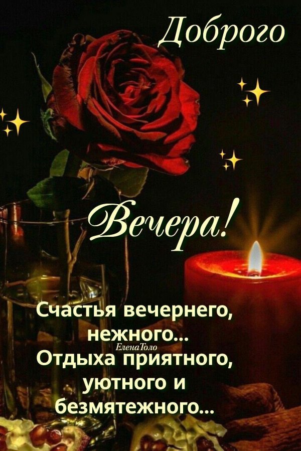 добр вечер