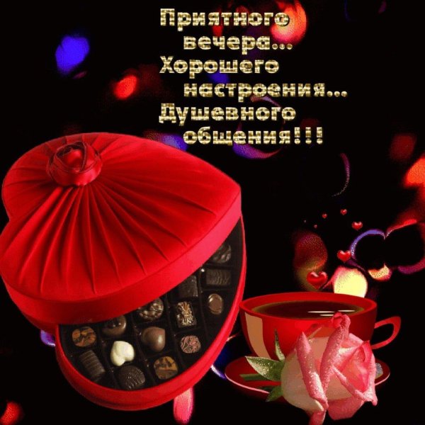 добр вечер