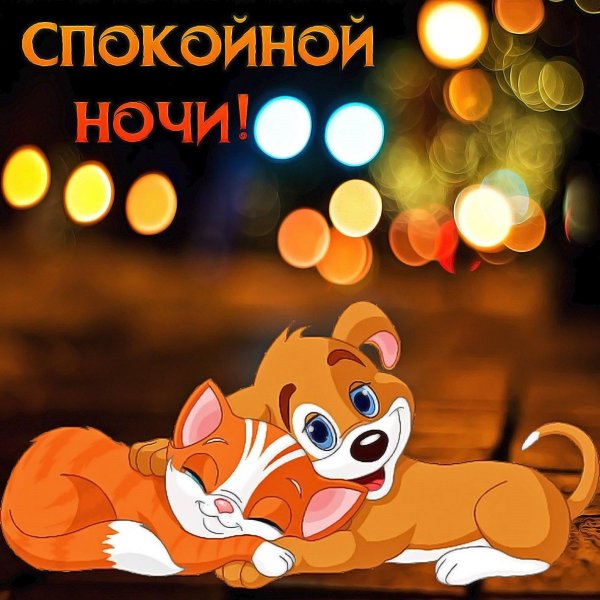 Хорошего вечера