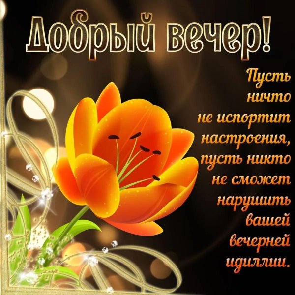 красивое поздравление с добрым вечером