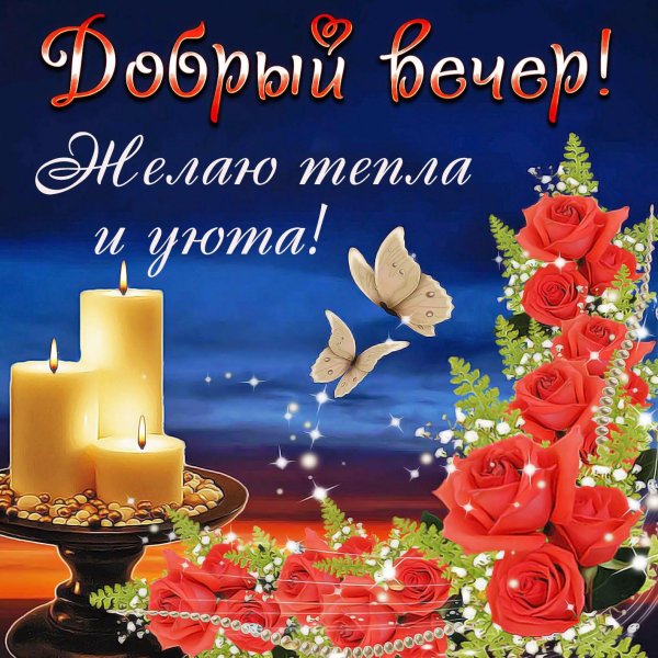 добр вечер