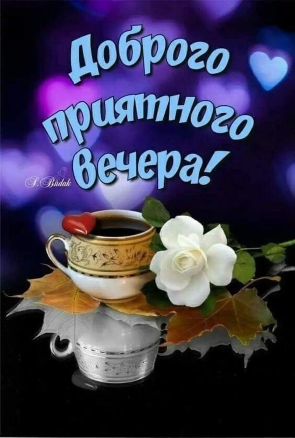 добр вечер