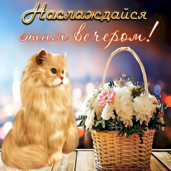 поздравление с хорошим вечером