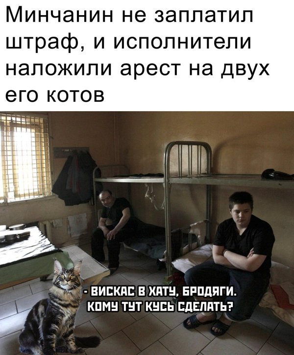 утро в хату