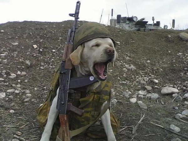 военная разведка