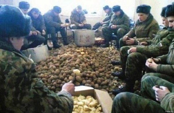 чистит картошку