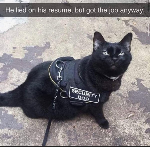 security dog