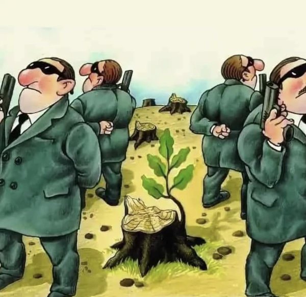 карикатуры со смыслом