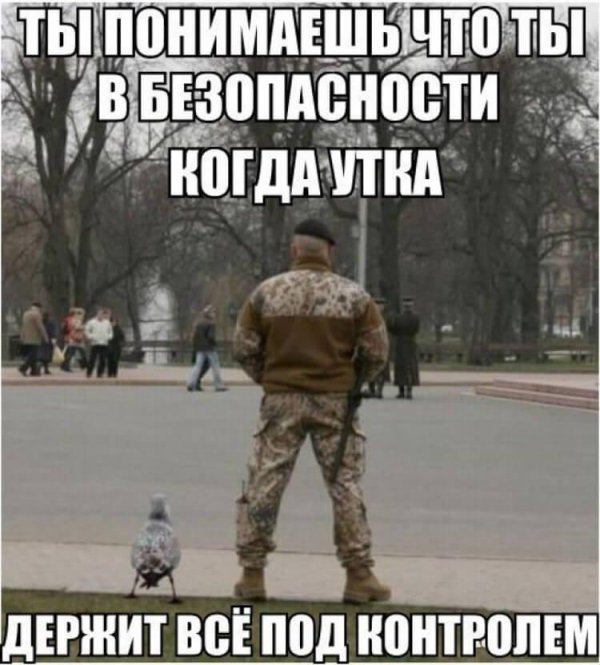 утка для охоты