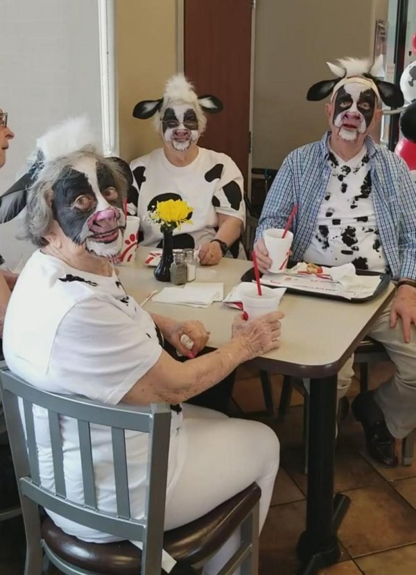 прикольное животное