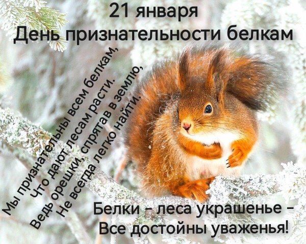 день признательности белкам