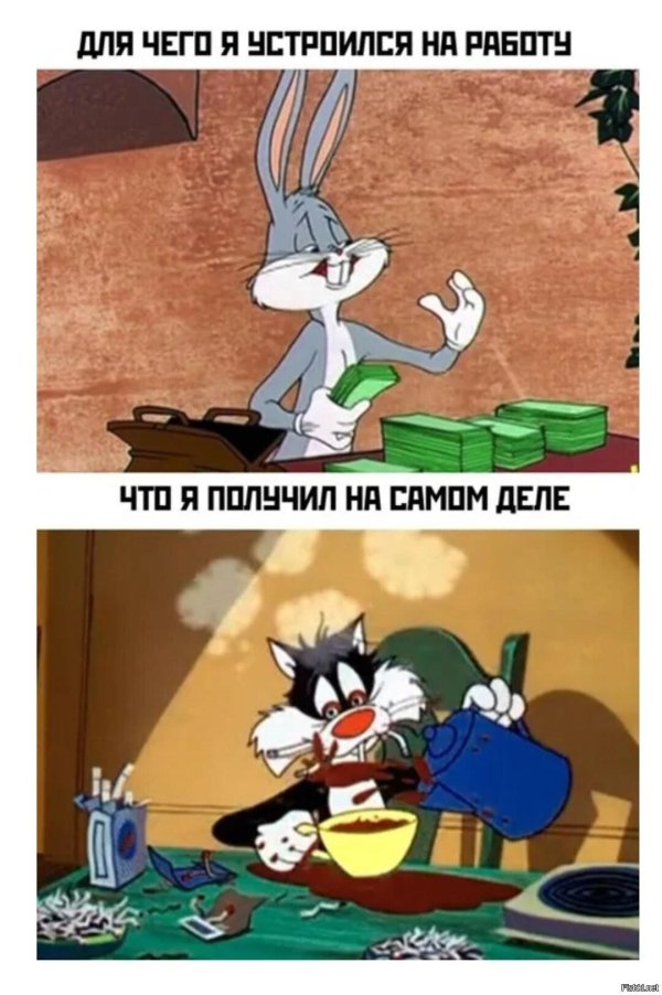 bugs bunny looney tunes