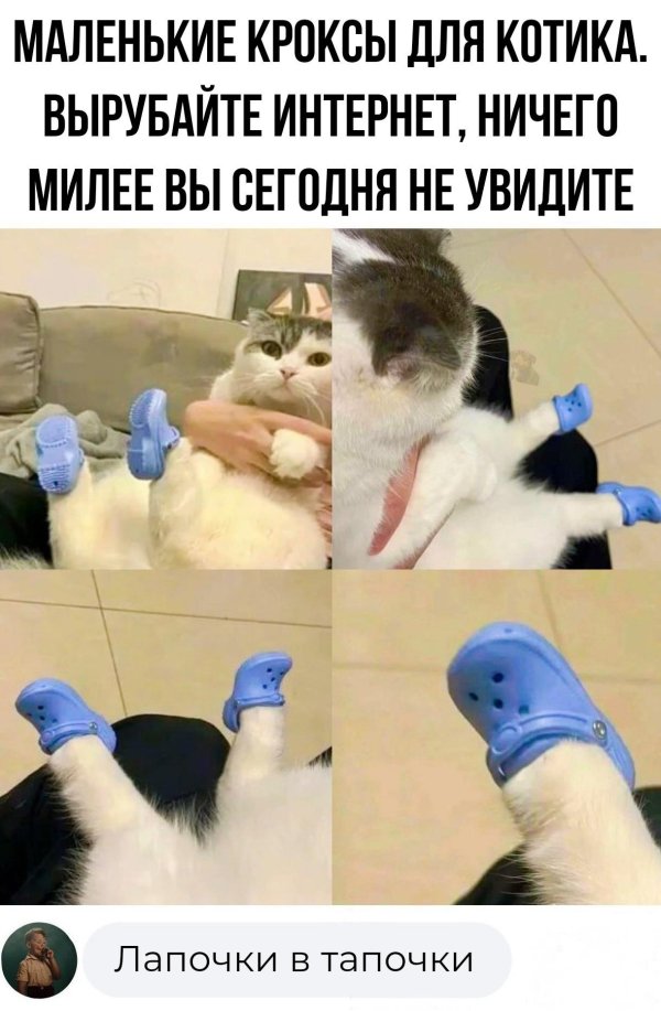 смешные комментарии