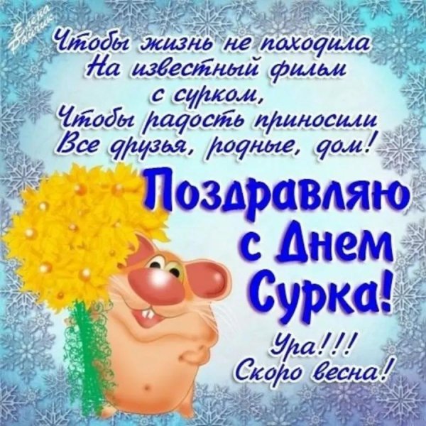день сурка поздравления