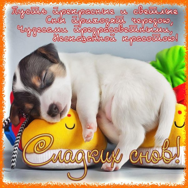 Спокойной ночи угарные