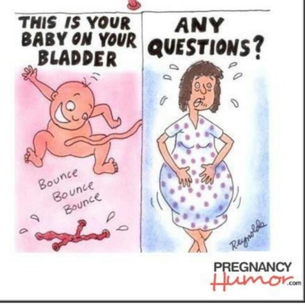 беременность юмор