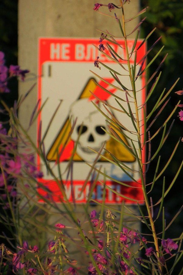 знаки радиации