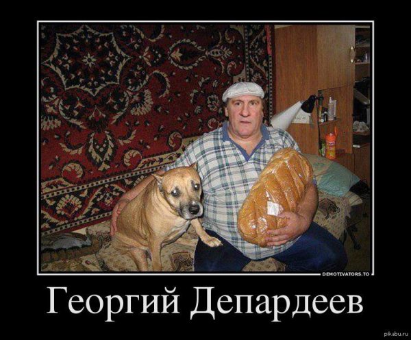 мужчина с собакой