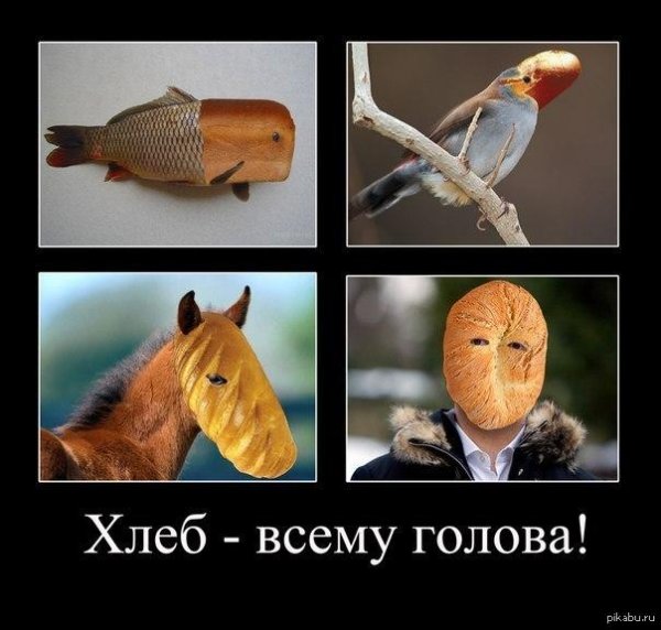 хлеб всему голова