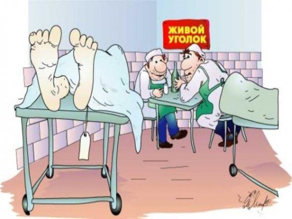морг карикатура