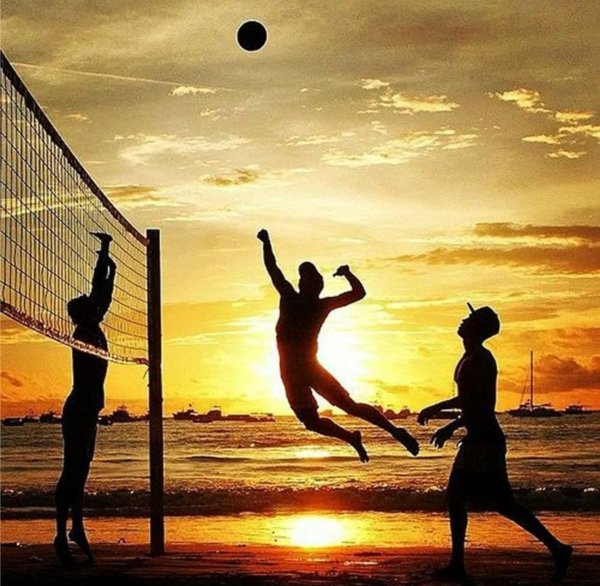 для волейбола