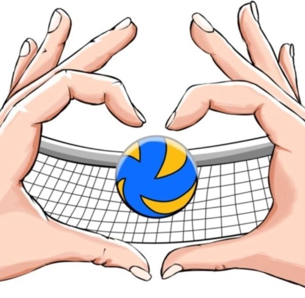 эмблема волейбол