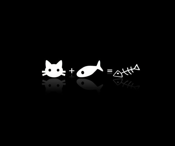 котики минимализм