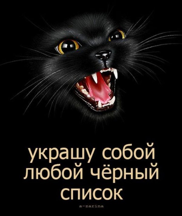 оскал кошки