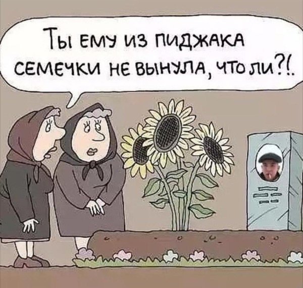семечки юмор