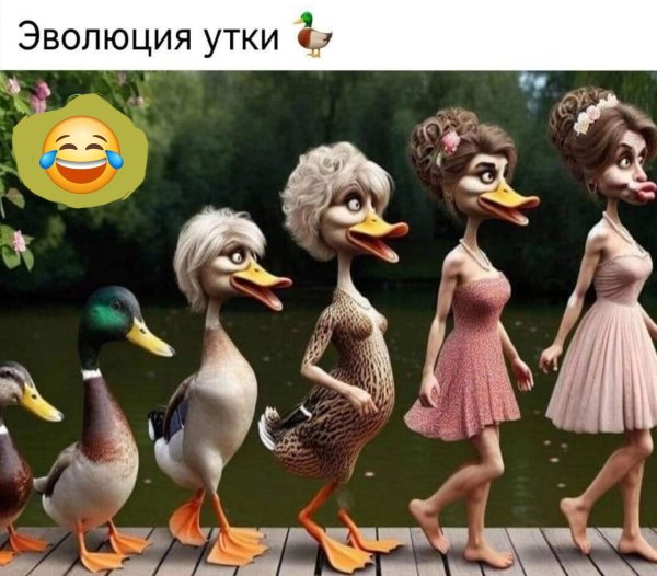 эволюция утки