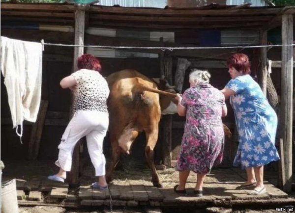 деревенская доярка