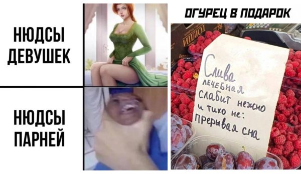 слива прикол