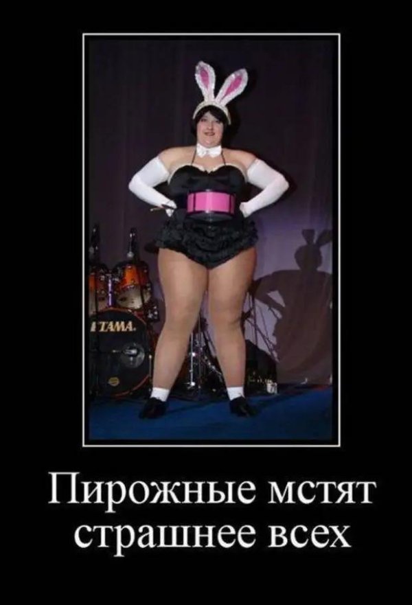 шоу толстушек