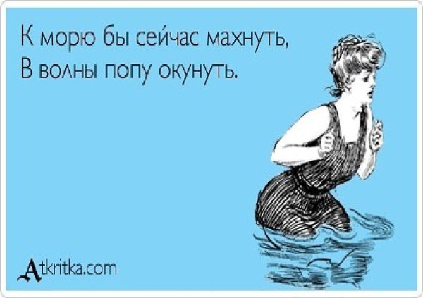 юмористические открытки