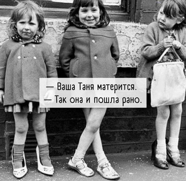 веселые высказывания