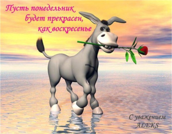 с понедельником открытка