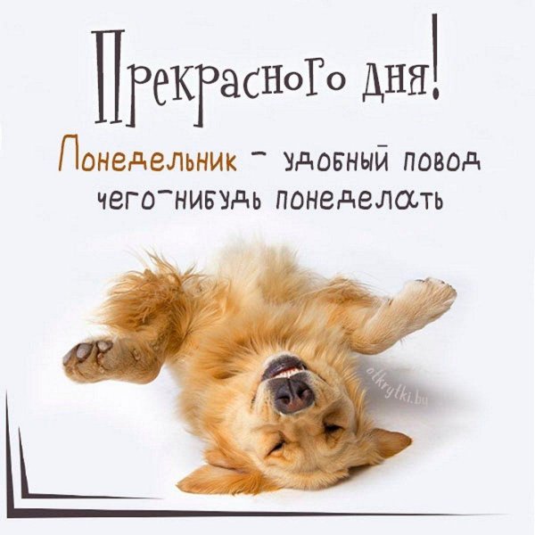 утро пятницы доброе