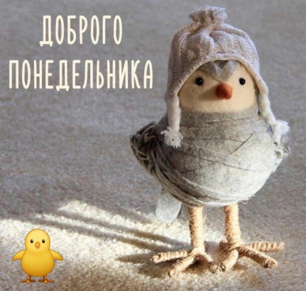 доброе утро понедельника стильные