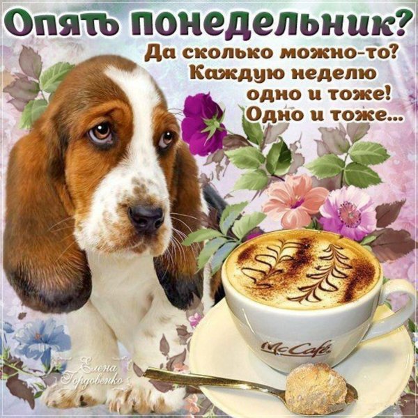 поздравление с понедельником